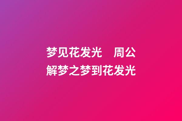 梦见花发光　周公解梦之梦到花发光